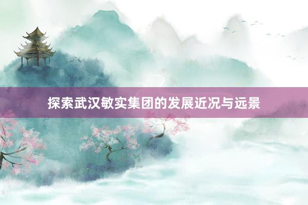 探索武汉敏实集团的发展近况与远景